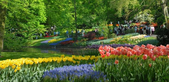 Белгия - Нидерландия - Люксембург