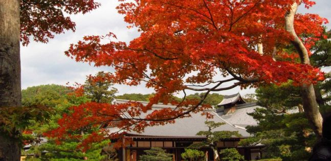 Величието на Япония - есен 2026