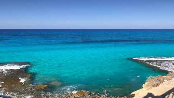 Египетски Малдиви - Алмаза Бей - синьо, спокойно и безкрайно красиво с полет от София - Лято 2026